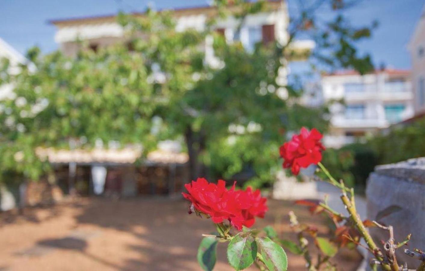 Apartments Nikola Punat Buitenkant foto